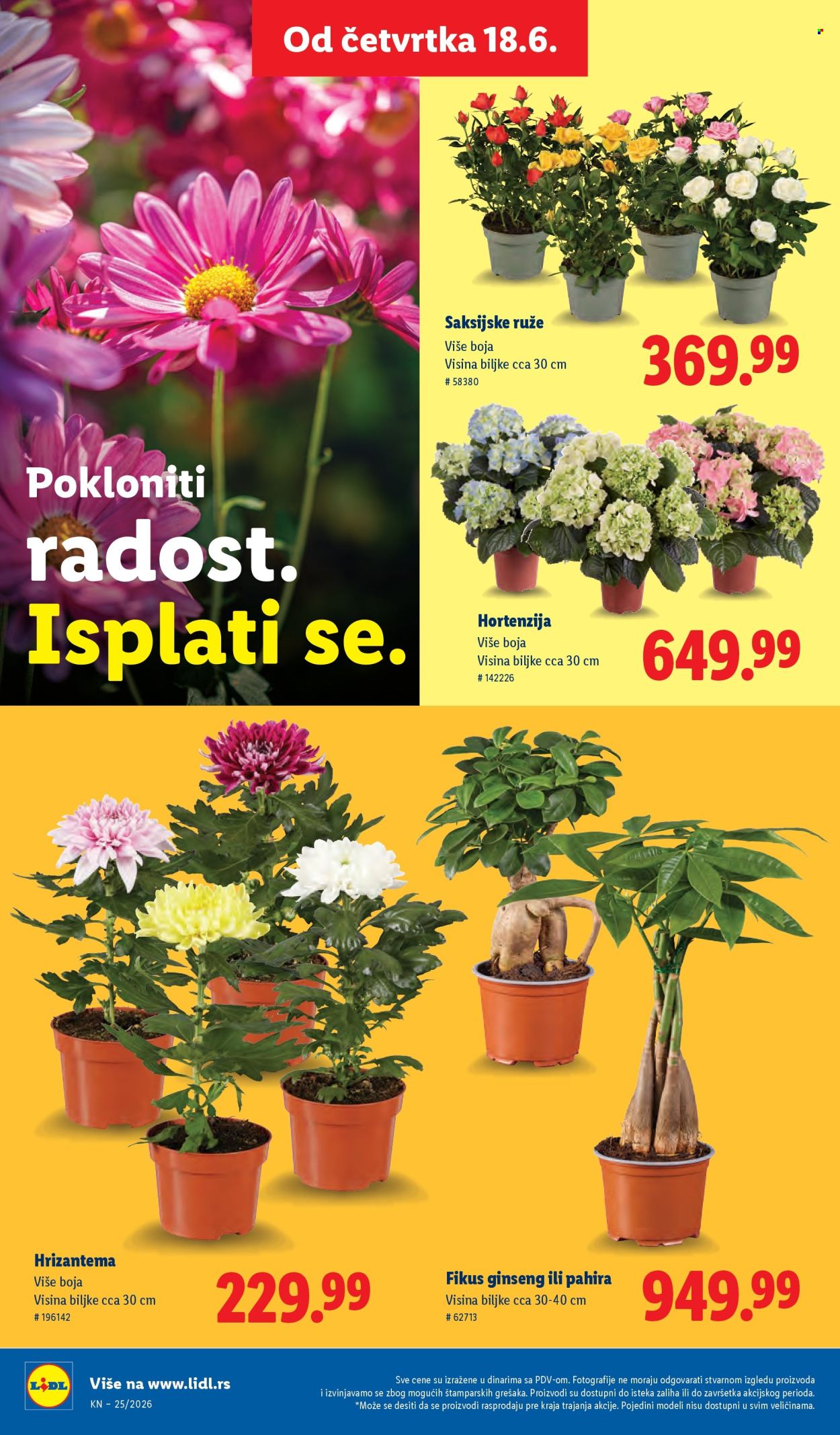 Lidl katalog - 18.06.2026 - 24.06.2026. Stranica 68