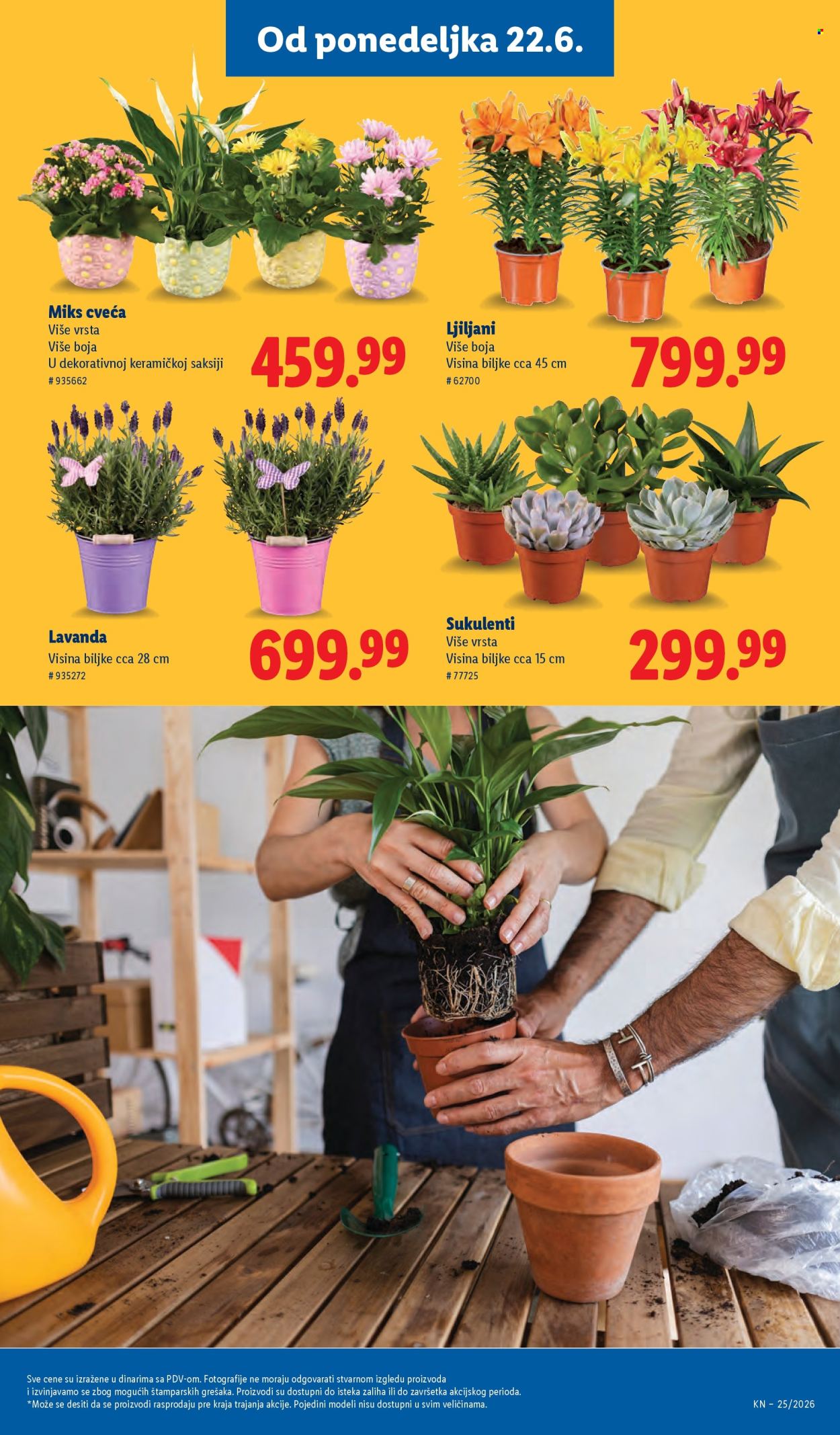 Lidl katalog - 18.06.2026 - 24.06.2026. Stranica 69