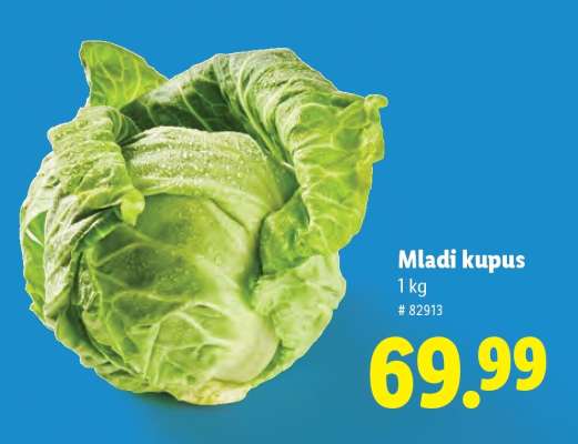 MLADI KUPUS