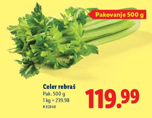 Celer rebraš