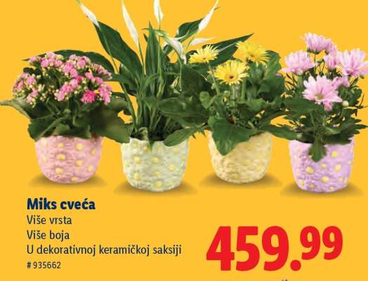 Miks cveća