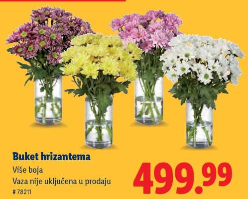 Buket hrizantema