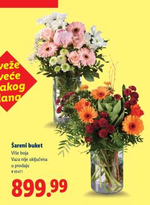 Šareni buket