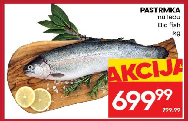 Pastrmka