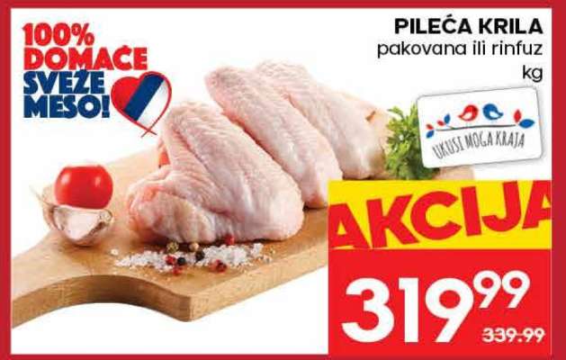 PILEĆA KRILA