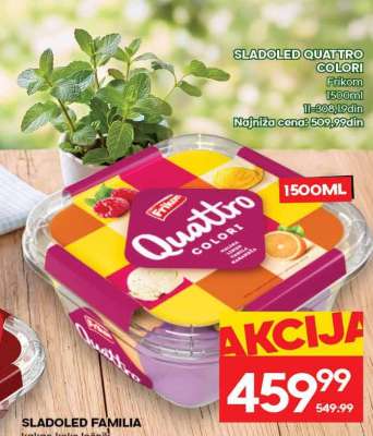 SLADOLED QUATTRO COLORI