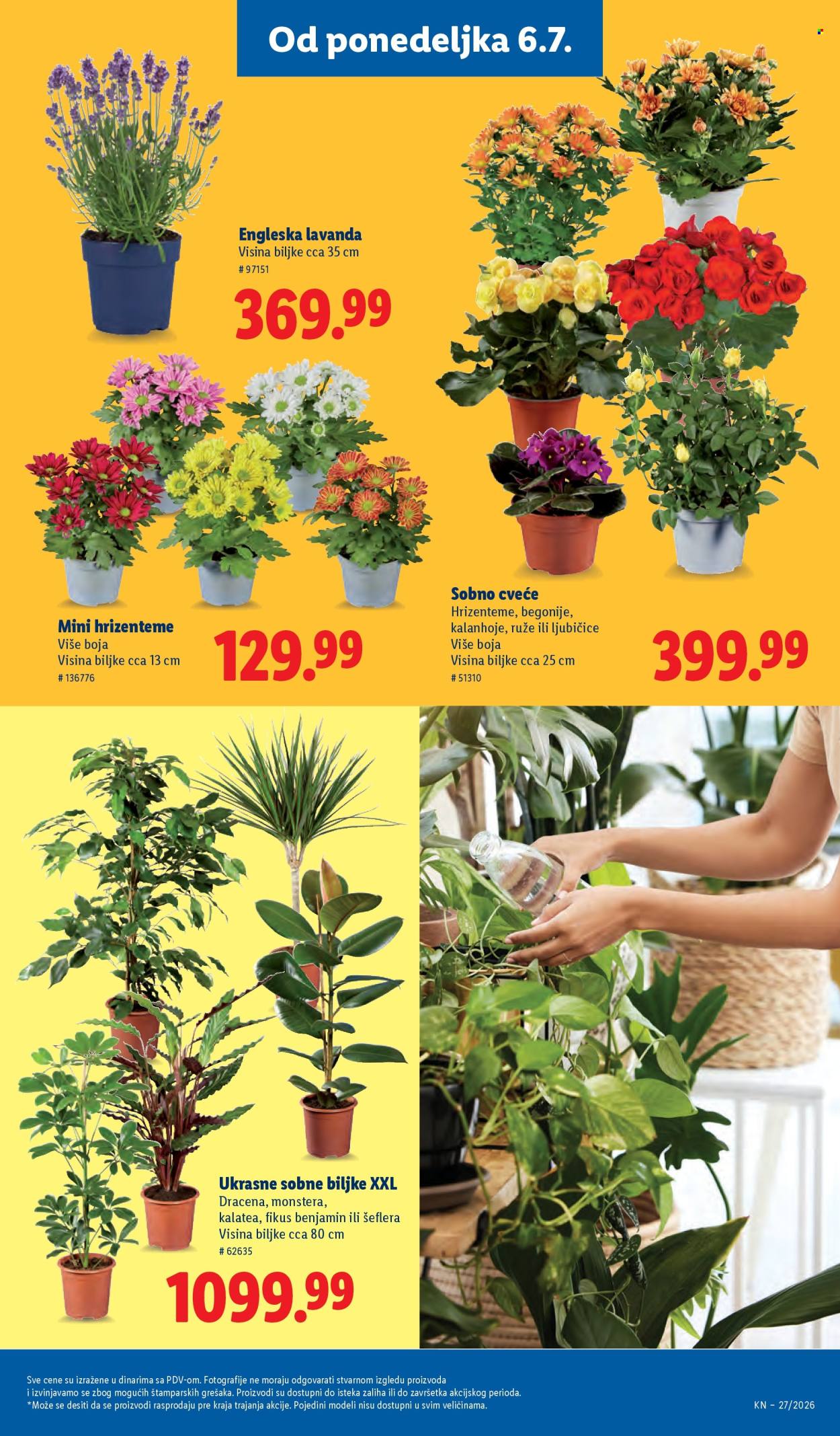 Lidl katalog - 02.07.2026 - 08.07.2026. Stranica 89
