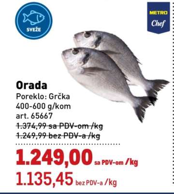 Orada