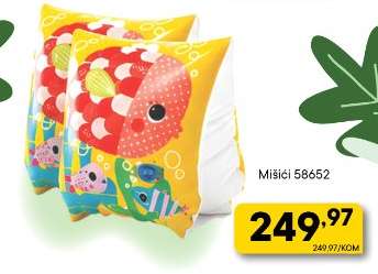 Mišici 58652
