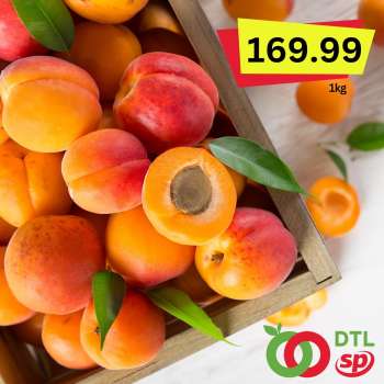 Senta Promet katalog.