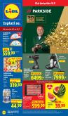 leaflet
