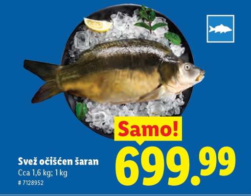 Svež očišćen šaran