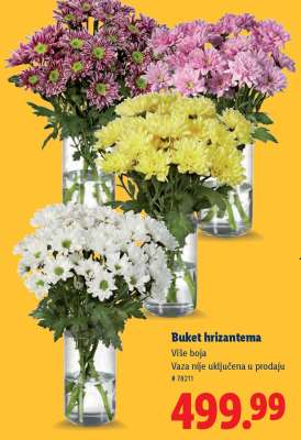 Buket hrizantema