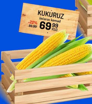 KUKURUZ ŠEĆERAC