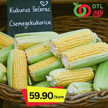 Senta Promet katalog.
