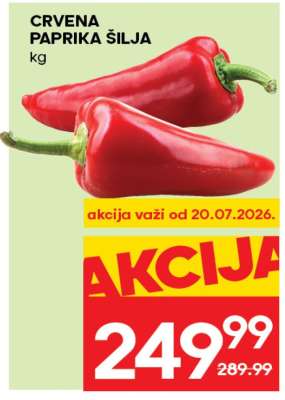 Crvena paprika šilja