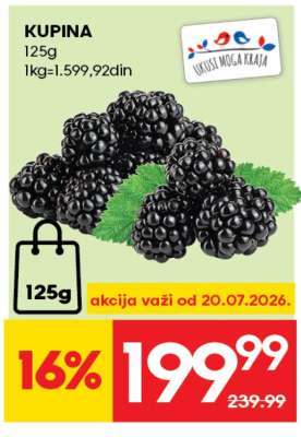 Kupina