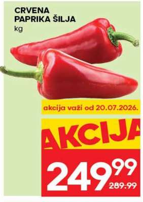 Crvena paprika šilja