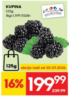 Kupina