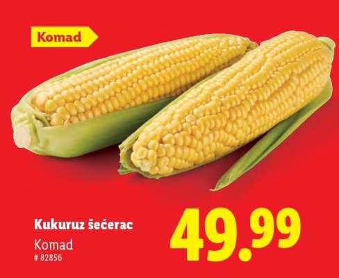 KUKURUZ ŠEĆERAC