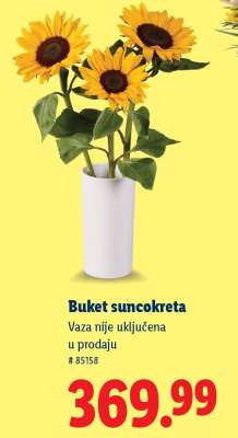 Buket suncokreta