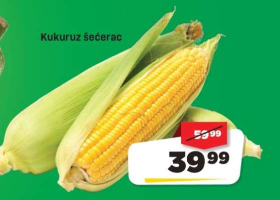 KUKURUZ ŠEĆERAC