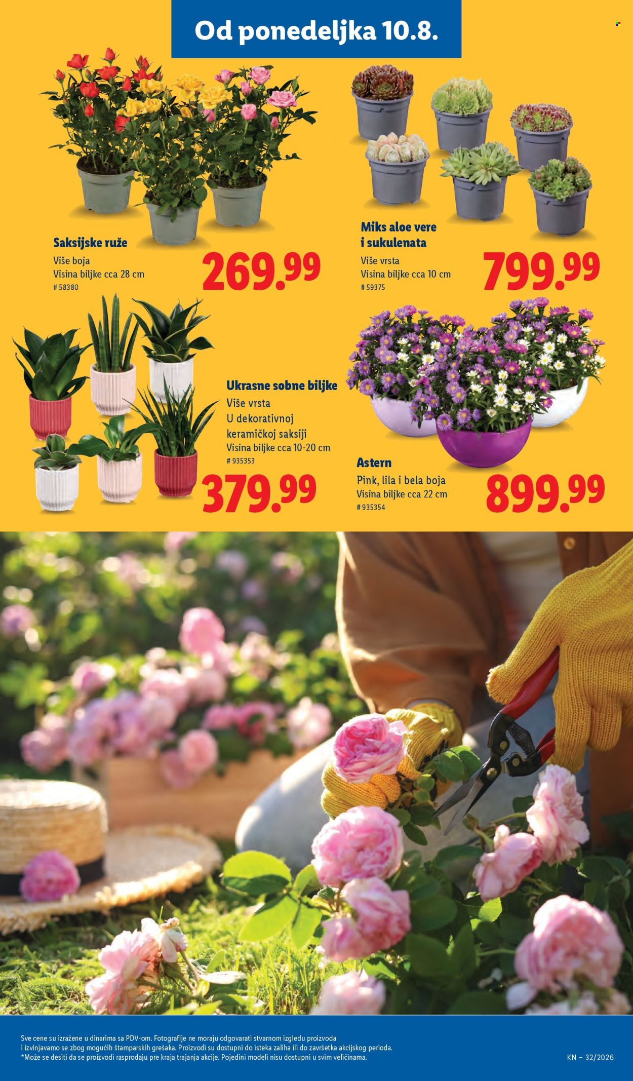 Lidl katalog - 06.08.2026 - 12.08.2026. Stranica 65