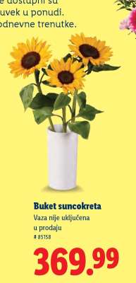 Buket suncokreta