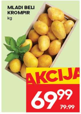 MLADI BELI KROMPIR