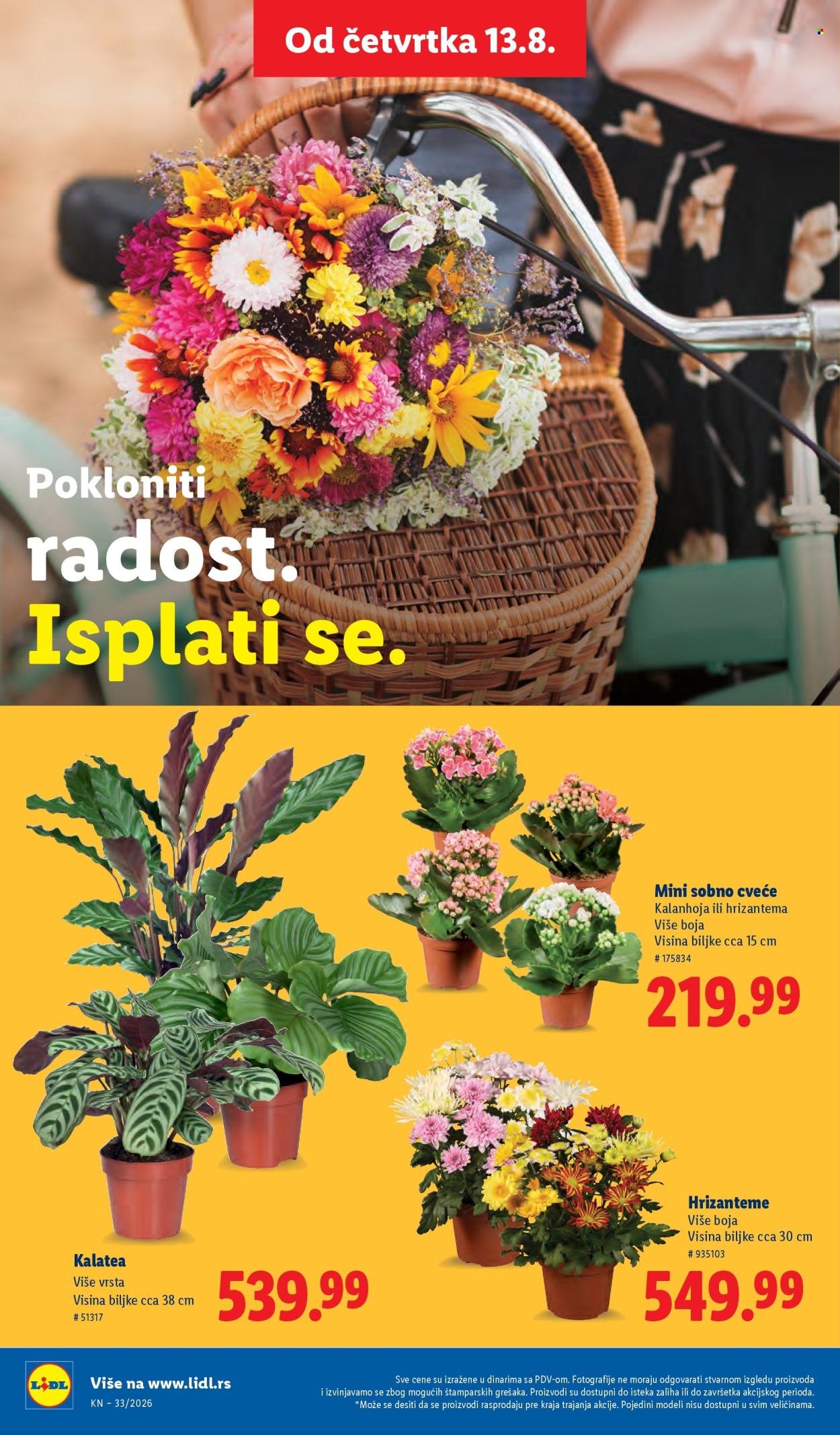 Lidl katalog - 13.08.2026 - 19.08.2026. Stranica 74
