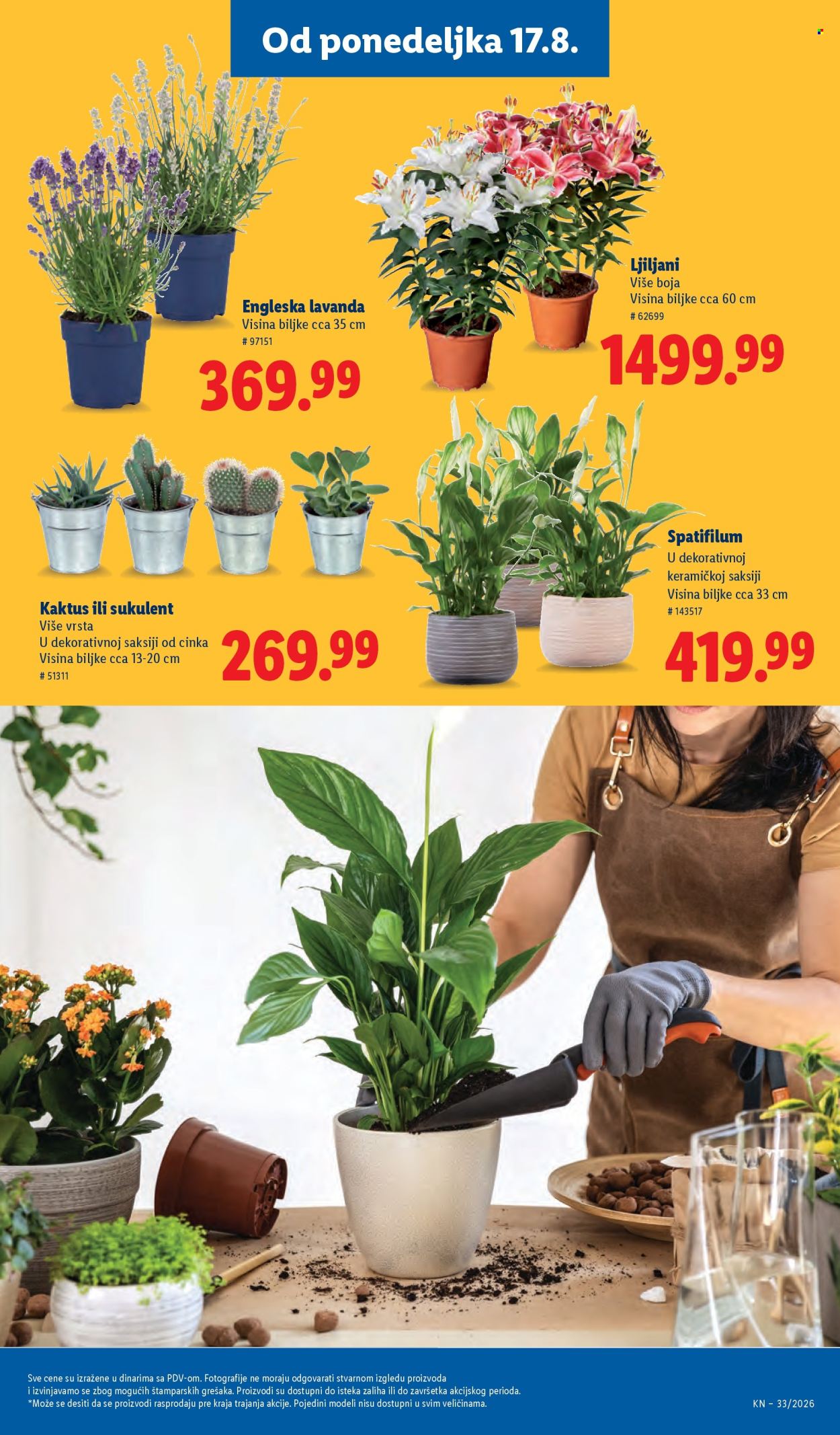 Lidl katalog - 13.08.2026 - 19.08.2026. Stranica 75