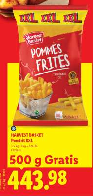 Harvest Basket Pomfrit XXL