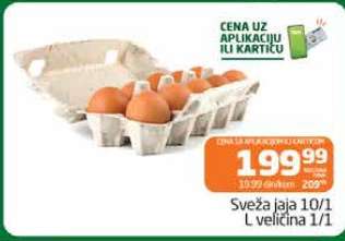Sveža jaja 10/1 L veličina 1/1