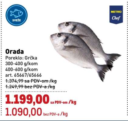 Orada