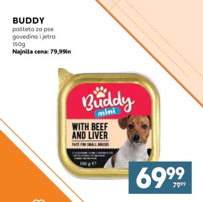 BUDDY