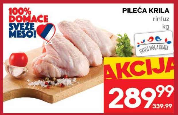 PILEĆA KRILA