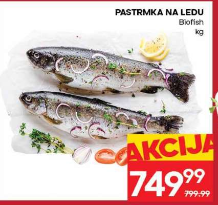 PASTRMKA NA LEDU