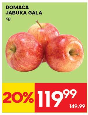 DOMAĆA JABUKA GALA