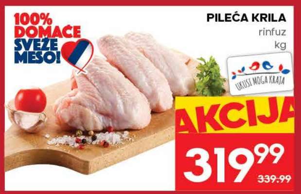 PILEĆA KRILA