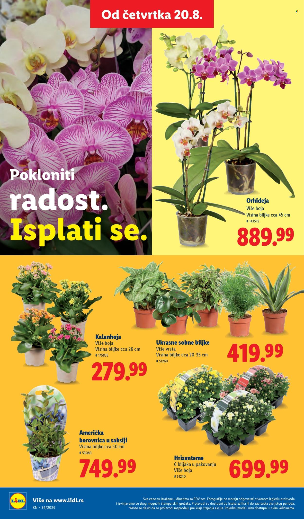Lidl katalog - 20.08.2026 - 26.08.2026. Stranica 78