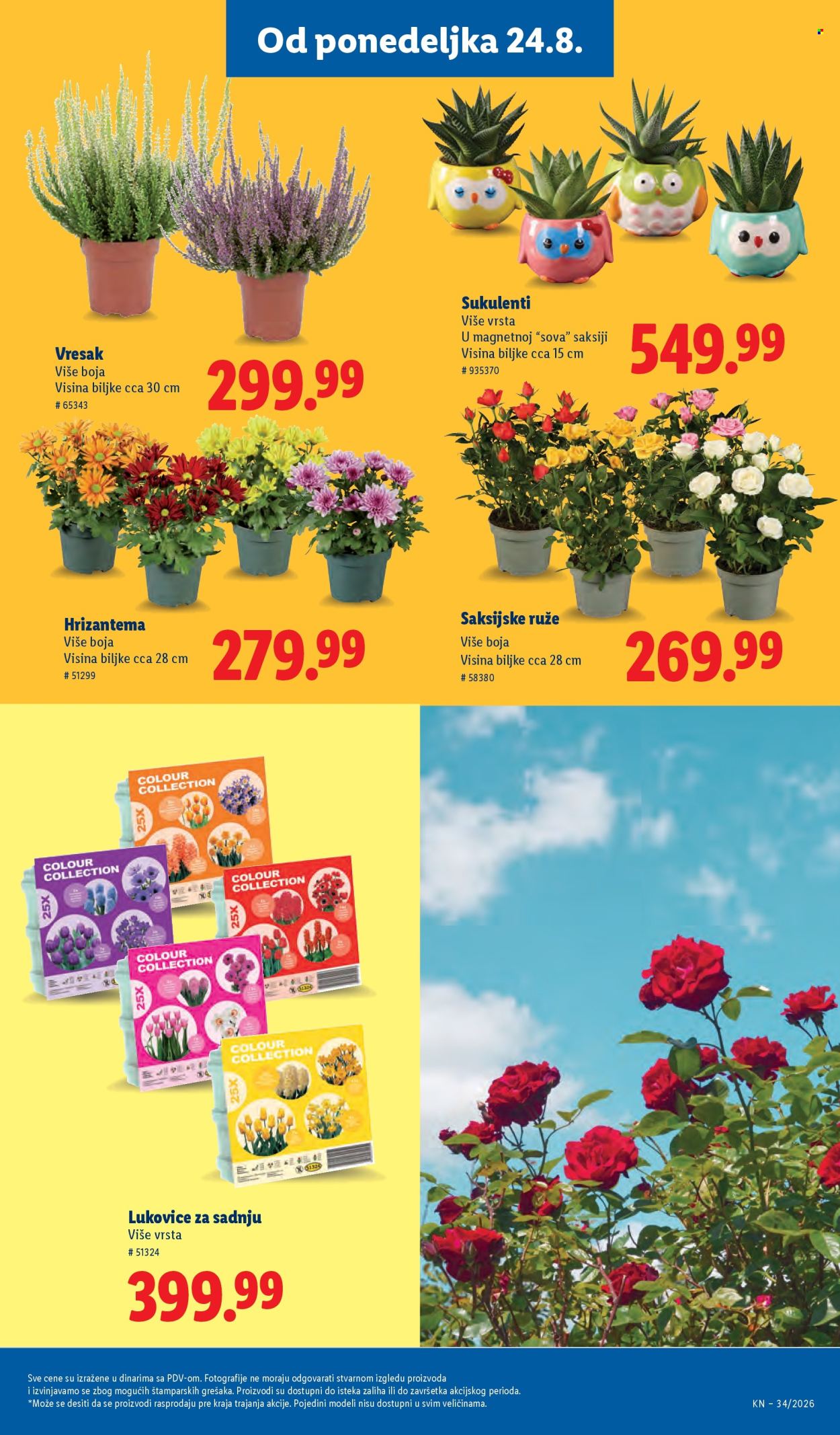 Lidl katalog - 20.08.2026 - 26.08.2026. Stranica 79
