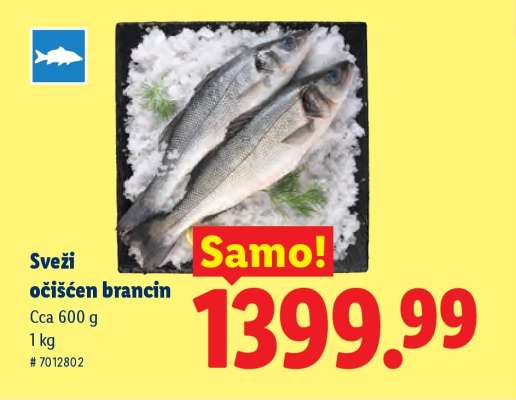 Svěží očištěn brancin