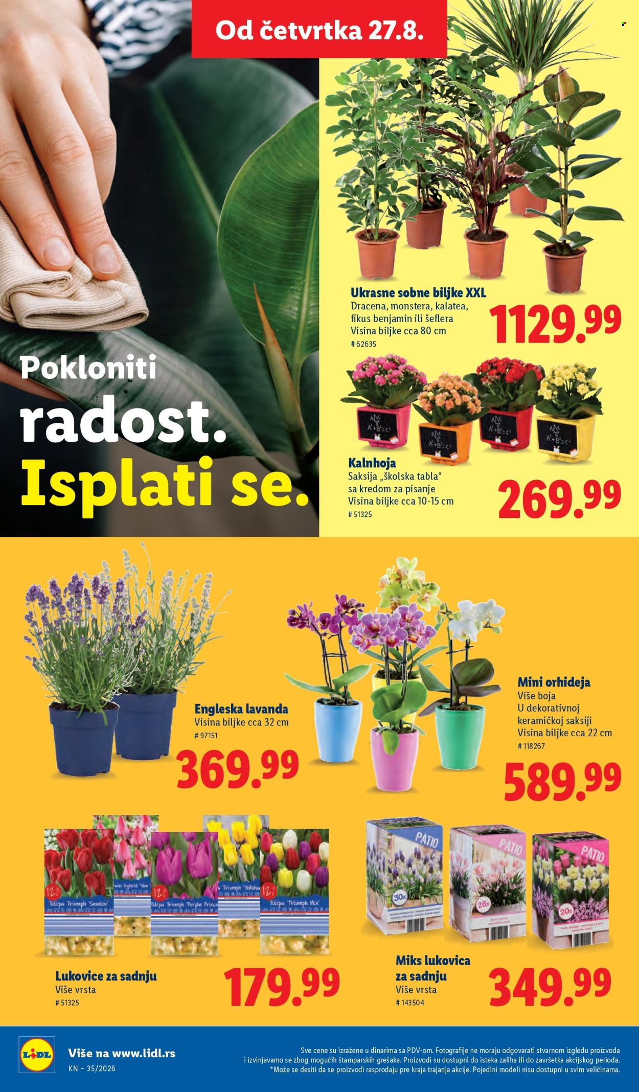 Lidl katalog - 27.08.2026 - 02.09.2026. Stranica 68
