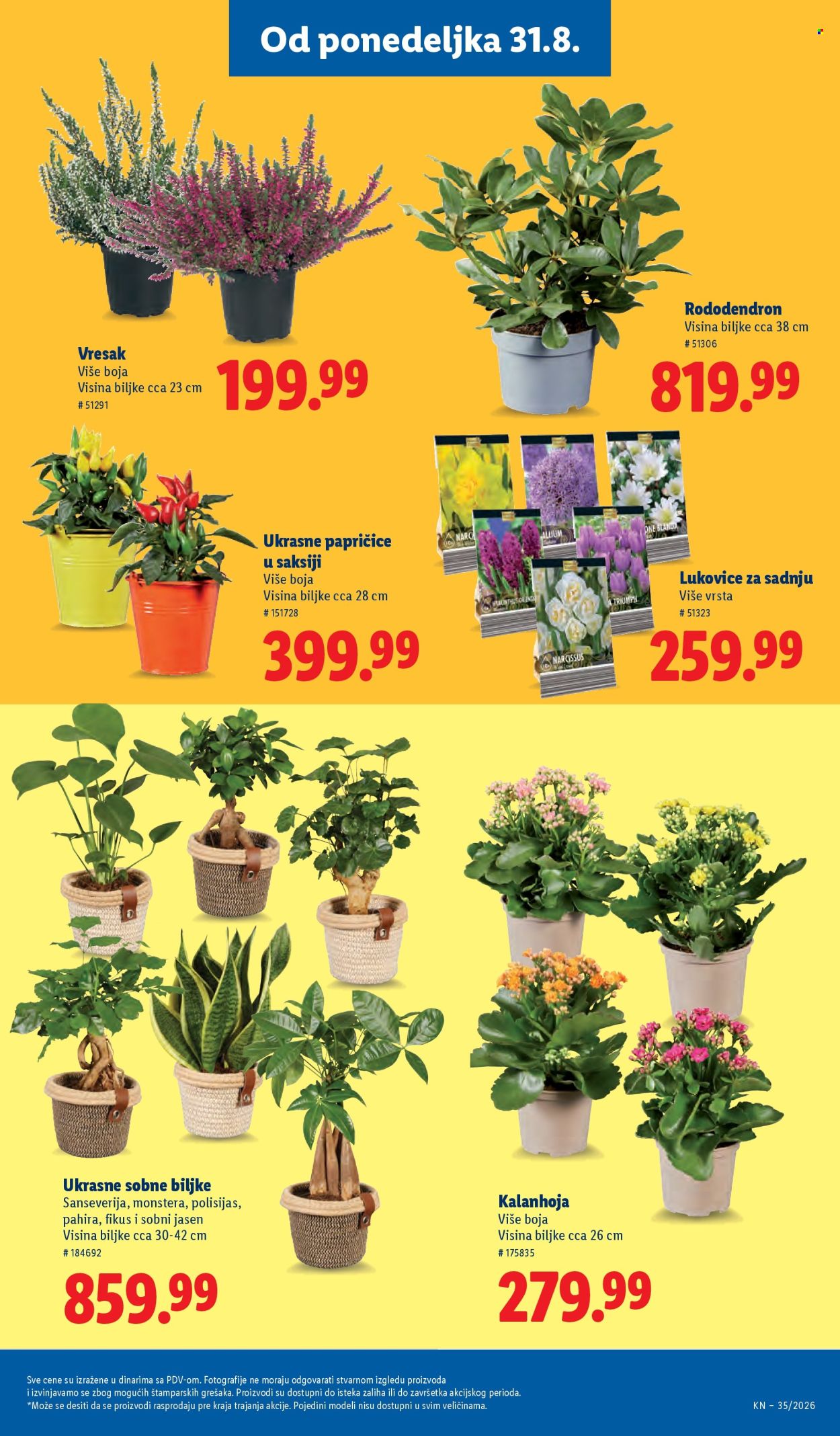 Lidl katalog - 27.08.2026 - 02.09.2026. Stranica 69