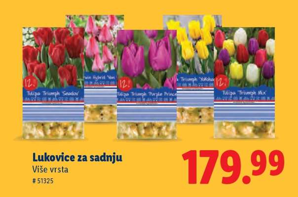 Lukovice za sadnju