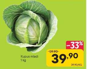Kupus mladi
