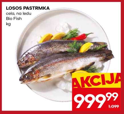 Losos pastrmka