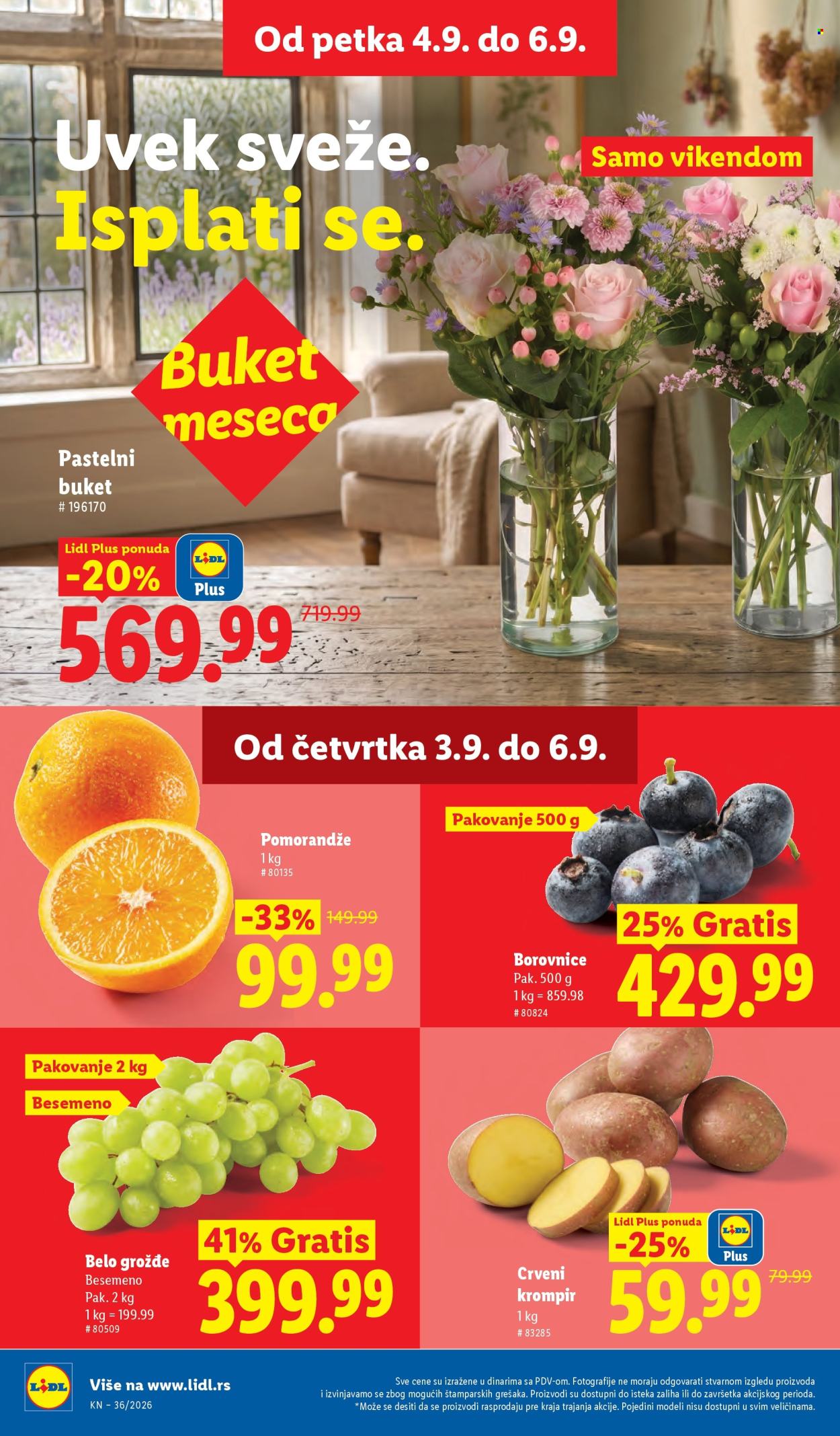 Lidl katalog - 03.09.2026 - 09.09.2026. Stranica 24