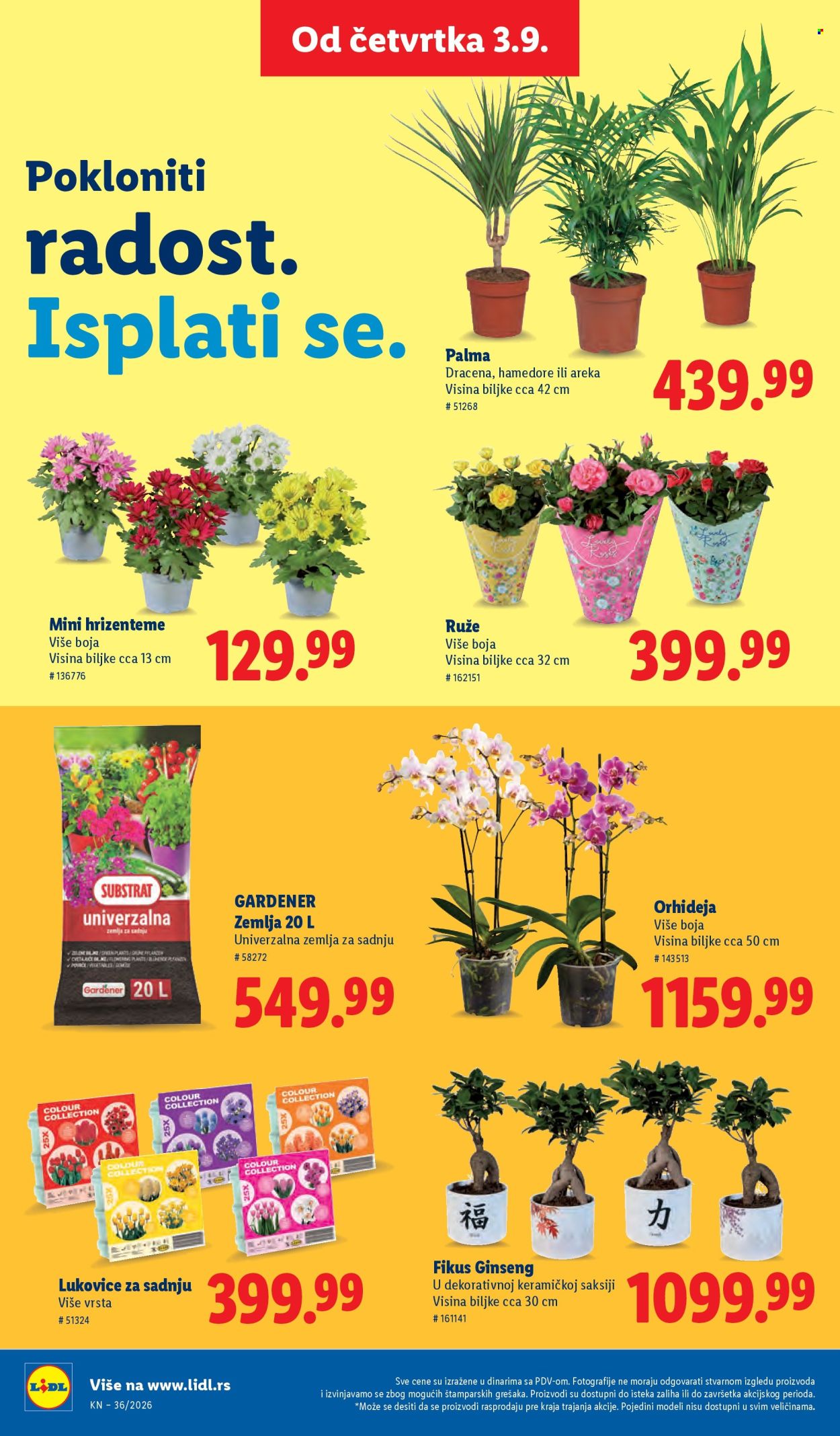 Lidl katalog - 03.09.2026 - 09.09.2026. Stranica 82