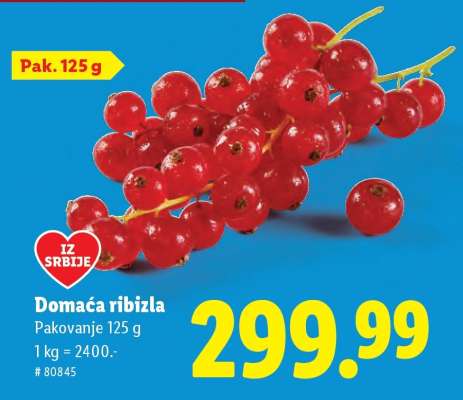 Domaća ribizla